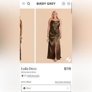 Birdy Grey Lydia Satin Dress in Olive